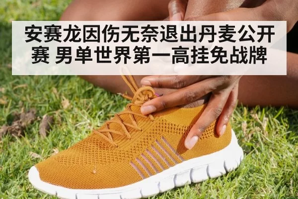 安赛龙因伤无奈退出丹麦公开赛 男单世界第一高挂免战牌